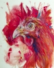 chick chick chicken (oil on paper)