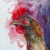 chicken (acrylics)