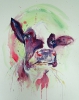 snooty cow (acrylics)