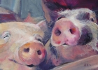 two pigs SOLD