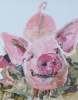 pig (collage)