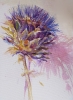 dried artichoke flower (acrylics)