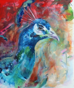 peacock for liss (acrylics on old life drawing)