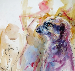 meerkat.com (acrylics on old life drawing)