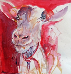 old goat (acrylics on old life drawing)