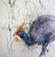 guinea fowl (acrylics on gesture drawing)