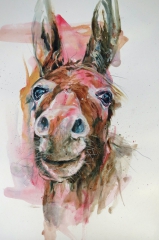 wonky donkey (pencil and acrylics) SOLD