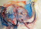 elephant (acrylics)