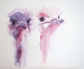 a pair of birds (acrylics)