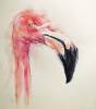 flamingo (acrylics)