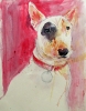 bull terrier (acrylics on old life drawing)