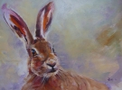 hare SOLD