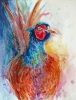 pheasant (acrylics)