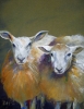 two sheep (acrylics) SOLD