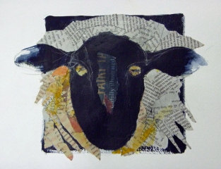 sheep (collage)