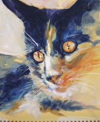 cat (acrylics)